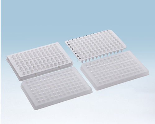 Kotak Alfanumerik Bening Tanpa Rok 96 Pelat PCR Sumur