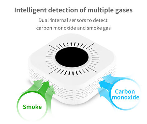 Alarm Gas Rumah Sensitivitas Tinggi Sensor Karbon Monoksida Alarm Asap Dan CO